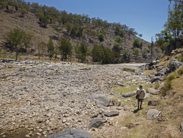 Drought-proofing solution runs dry